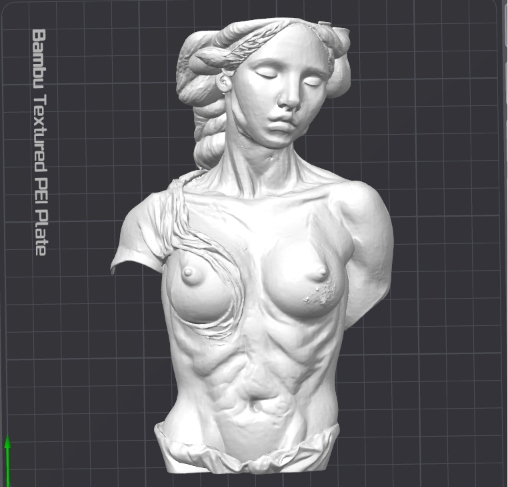 Venere — Marble Relief Bust | Classical Wall Sculpture